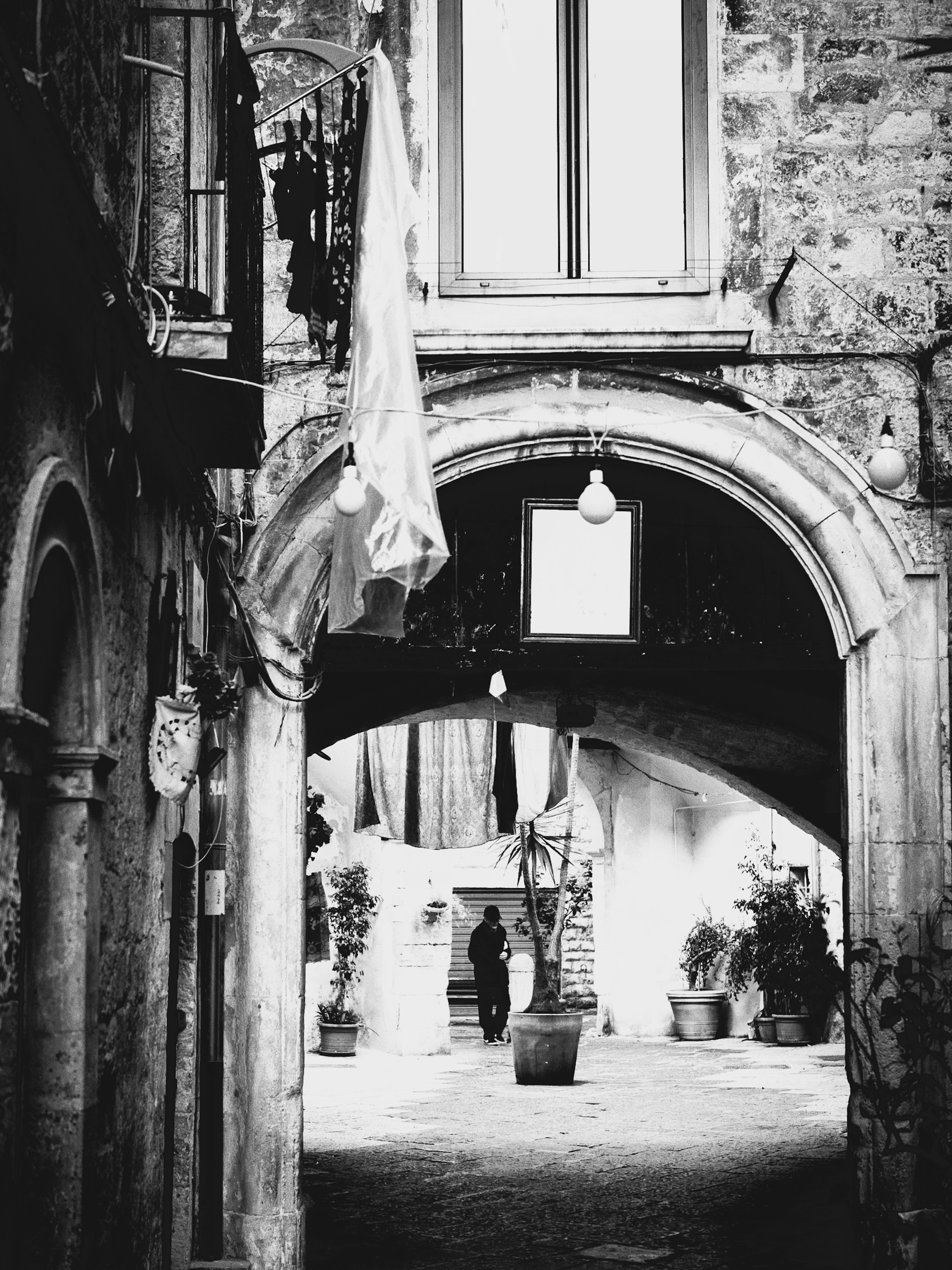 Whispers of the Alley — foto di @miki_990