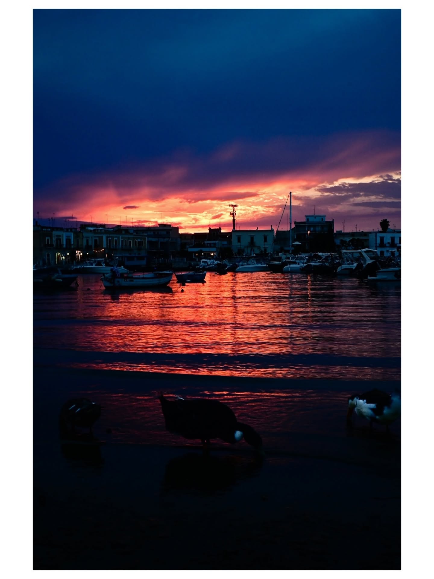 La mia avventura di marinaio ebbe inizio qui, nella mia "Itaca". Di tempo ne è passato da quel giorno di uno… — foto di…