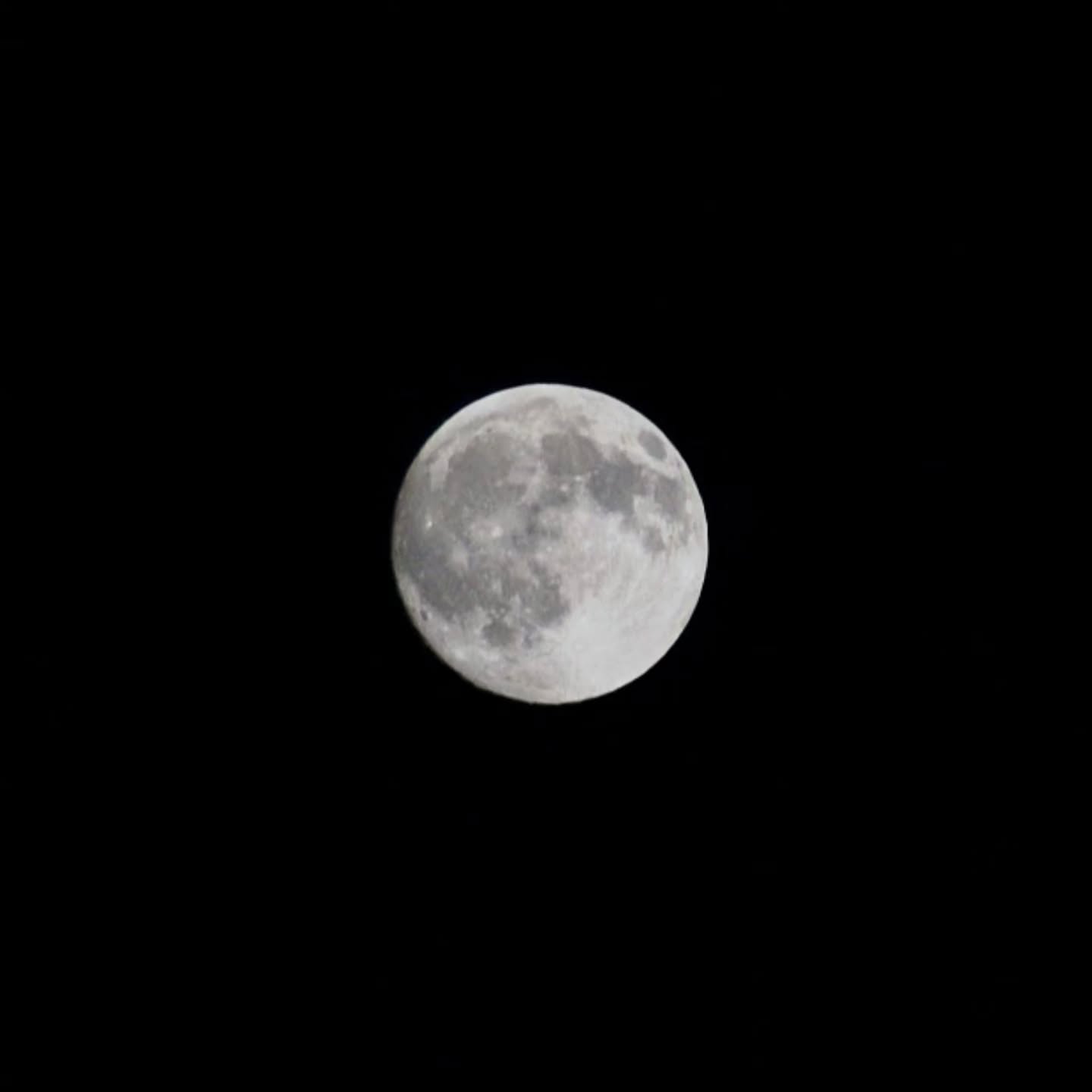 🌝 — foto di @gabcaptures_