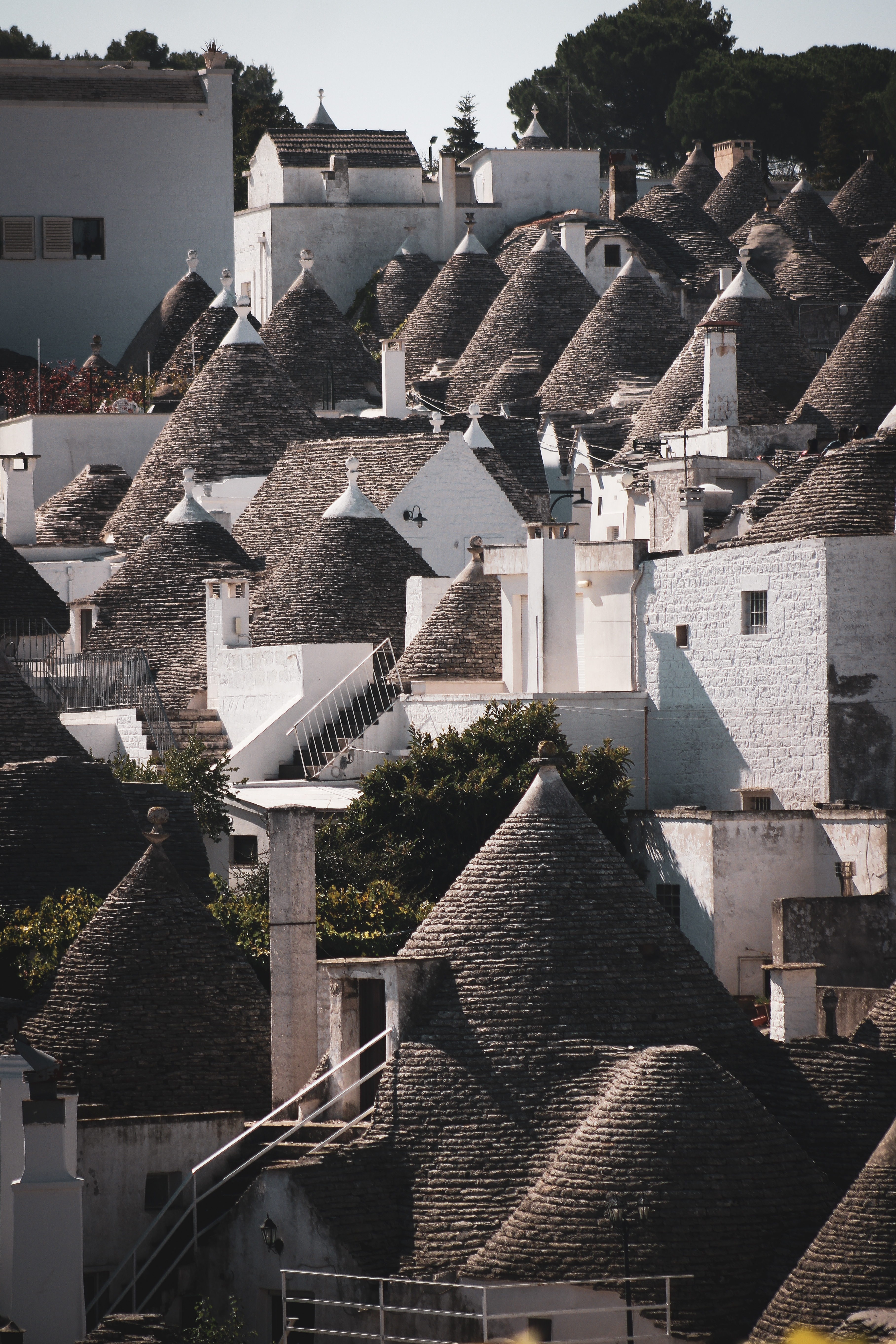 Architettura